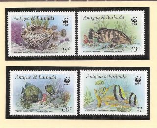 (72400) Antigua Barbuda - Fish - U/m 1987 photo
