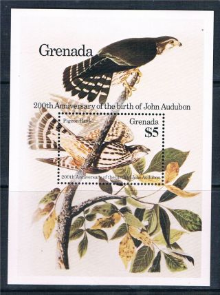 Grenada 1985 Birds John Audubon M.  S.  Sg1382 photo