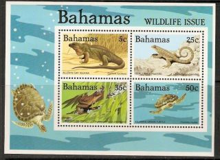 Bahamas Sgms694 1984 Reptiles & Amphibians photo