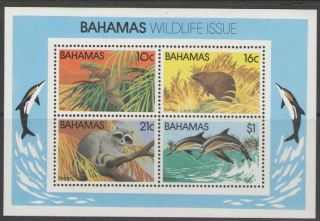 Bahamas Sgms630 1982 Wildlife photo