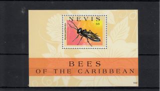 Nevis 2013 Bees Of Caribbean 1v Sheet Insects Nature Bicyrtes Bee photo
