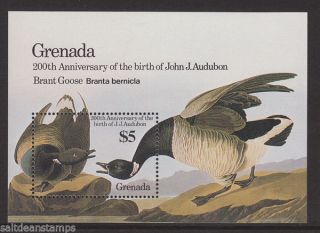 Grenada - 1985 Birth Bicentenary Of John J.  Audubon (2nd Issue) Ms Um / photo