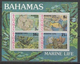 Bahamas Sgms497 1977 Marine Life photo