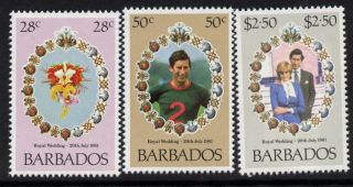 Barbados 547 - 9 Charles & Diana Wedding,  Royalty,  Flowers photo