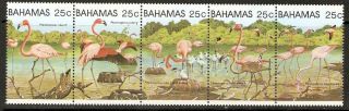 Bahamas Sg617a 1982 Greater Flamingos photo