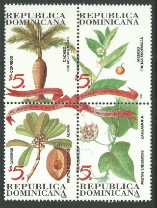 Dominican Republic 1999 - Nature Flora Native Plants Tree Error - Sc 1308 photo