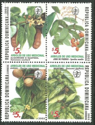 Dominican Republic 2003 - Nature Flora Medicinal Plants Fruit - Sc 1396 photo