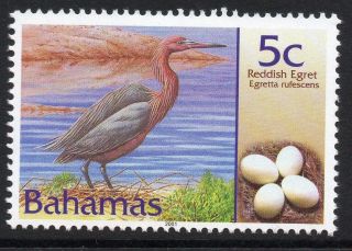 Bahamas Sg1249 2001 Birds & Their Eggs 5c photo