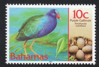Bahamas Sg1250 2001 Birds & Their Eggs 10c photo