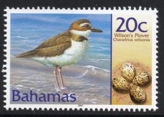 Bahamas Sg1252 2001 Birds & Their Eggs 20c photo