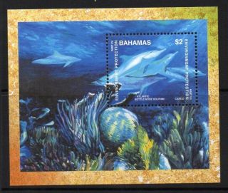 Bahamas Sgms1197 1999 Marine Life photo