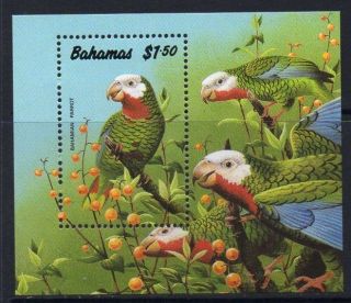 Bahamas Sgms886 1990 Parrots photo