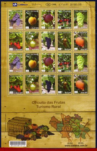 9 - 12 Brazil 2009 - Fruits,  Export Products,  Mercosul,  Rural Tourism,  Sheet photo