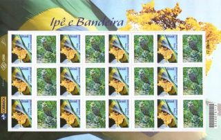 9 - 37t3 Brazil 2009 Personalized Ipe Wood Ve,  Maps,  Owl,  Flags photo
