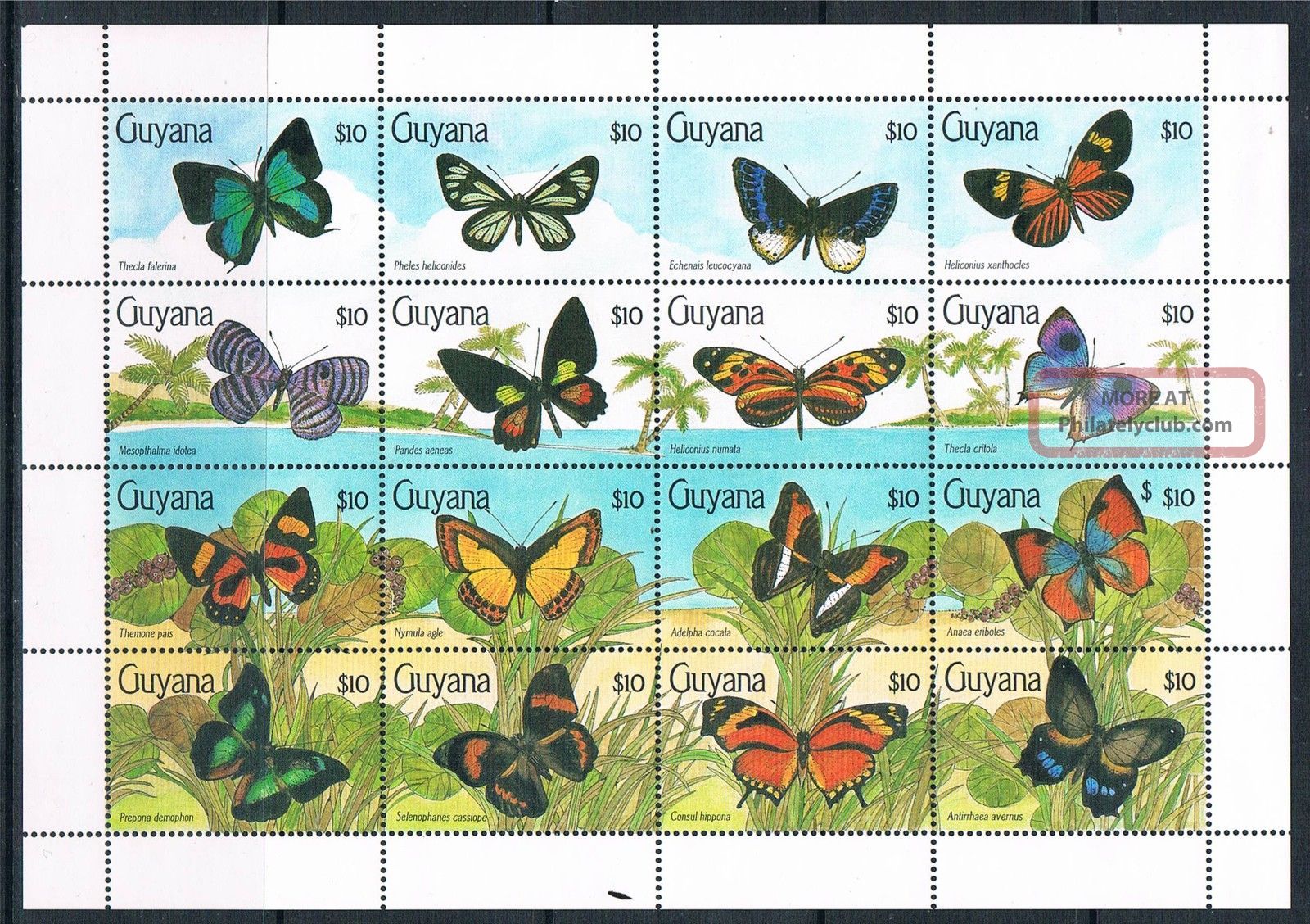 Guyana 1990 Butterflies 16v Sg 2827/42 Latin America photo