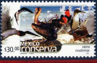 2377 Mexico 2004 - Conservation Coastal Birds (30.  00p),  Fauna,  Sc 2377, photo