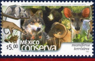 2367 Mexico 2004 Conservation Land Mammals (5.  00p),  Bear,  Deer,  Dog,  Sc 2367 photo