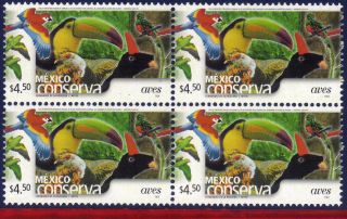 2259aq Mexico 2003 Conservation Birds (4.  50p),  Parrot,  Toucan,  Sc 2259a, photo