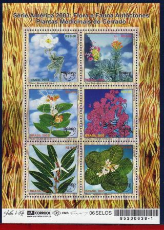 2883 Brazil 2003 Medicinal Plants,  Upaep,  Nature,  Sc 2883,  Mi 3301 - 3306 photo