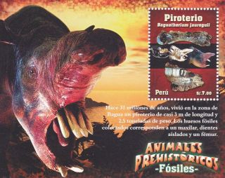 Peru 2009 Fossil Prehistoric Animal Dinosaur photo