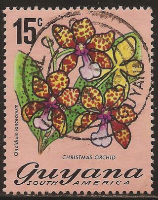 1971 - 76 Guyana: Scott 139 - Flowers (15 C - Christmas Orchid) - photo