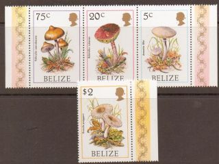 Belize 1986 Fungi photo