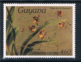 Guyana 1987 Orchid Sg 2176 photo