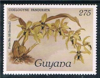 Guyana 1987 Orchid Sg 2173 photo