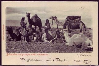 Ottoman Palestine / Israel 1902 Postcard From Haifa To Germany; Bedouins Camels photo