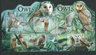 Solomon Islands 2013 Owls Sheetlet photo