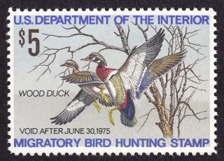 Us Rw41 Federal Duck Stamp - Never Hinged - 1974 Stamp photo