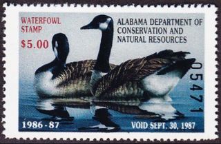 1986 Alabama State Duck Stamp Never Hinged Vf photo