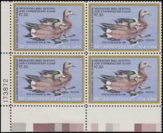Rw51 1984 Duck Stamp Bottom Left Pb Never Hinged Vf photo