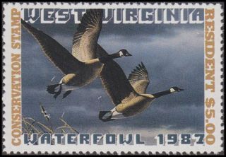1987 West Virginia Duck Stamp First Of State Never Hinged Vf photo