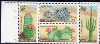 Sc 1945a Desert Plants Pb/4 Cv $1.  95 photo