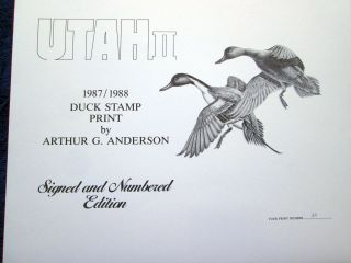 1987 Ut - 2 Utah Duck Stamp Print Signed W/ Stamp W/folio photo