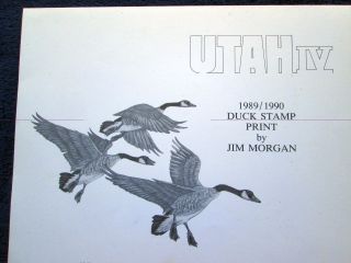 1989 - 90 Ut - 4 Utah Duck Stamp Print Signed W/ Stamp W/folio photo