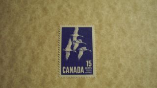 1963 Canada Geese 357 Mt/nmt photo