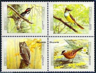 Canada 1998 Canadian Birds Woodpecker Fv Face $1.  80 Stamp Corner Block photo