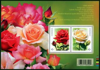 Canadian Stamp Roses Ss photo