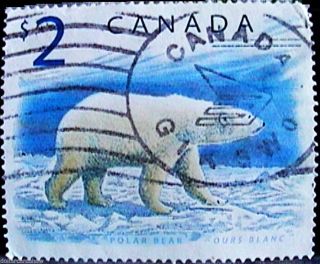 Canada 1998 Canadian Polar Bear Fv Face $2 Mng Full Circle Cancel Stamp photo