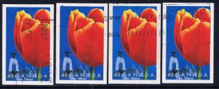 Canada 1946c (6) 2002 48 Cent Tulips - Ottawa photo