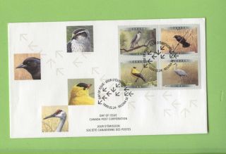 Canada 1999 Birds Se Tenant Block On First Day Cover photo