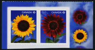 Canada 2444b Booklet Pair Sunflowers photo