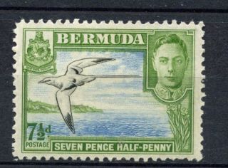 Bermuda 1938 - 52 Kgvi Sg 114c 7.  5d Black,  Blue & Bright Green Bird Mh A56317 photo