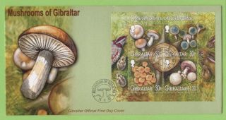Gibraltar 2003 Mushrooms Miniature Sheet On First Day Cover photo