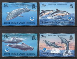 British Indian Ocean Territory Biot 1998 Year Of The Ocean Sg 220 - 223 U/mint photo