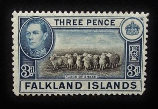 Falkland Islands Kgvi 1941 - 50 Sg153,  3d Stamp,  Flock Of Sheep,  Mm,  A470 photo