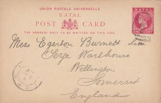 1896 Natal 1d Postcard Posted To Uk photo