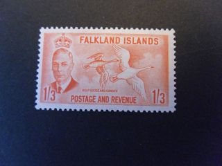 King George Vi Falkland Islands Kgvi Stamp 1/3 Kelp Goose & Gander photo